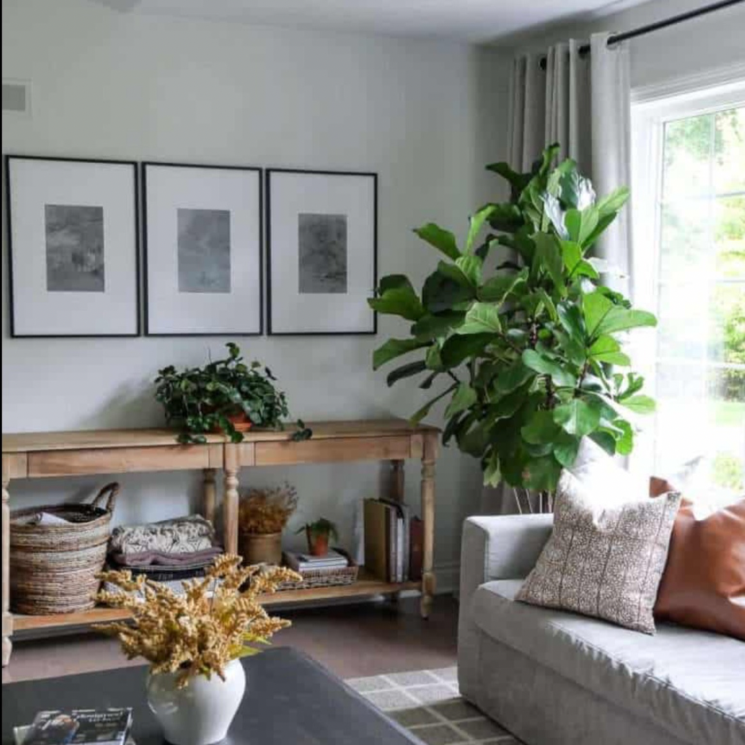 Home decor