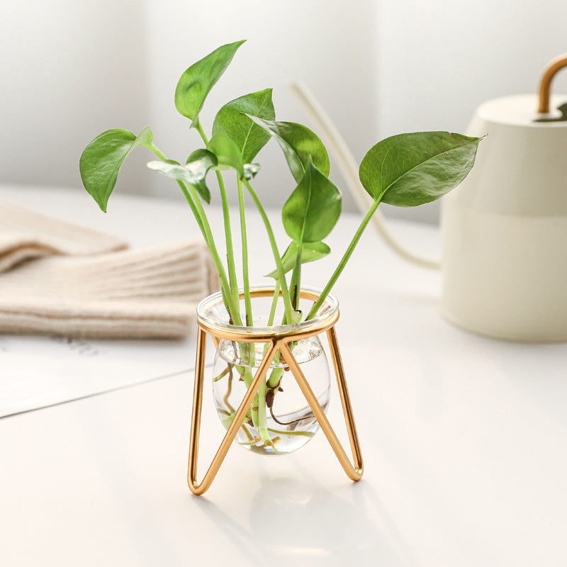 Hydroponic Vase