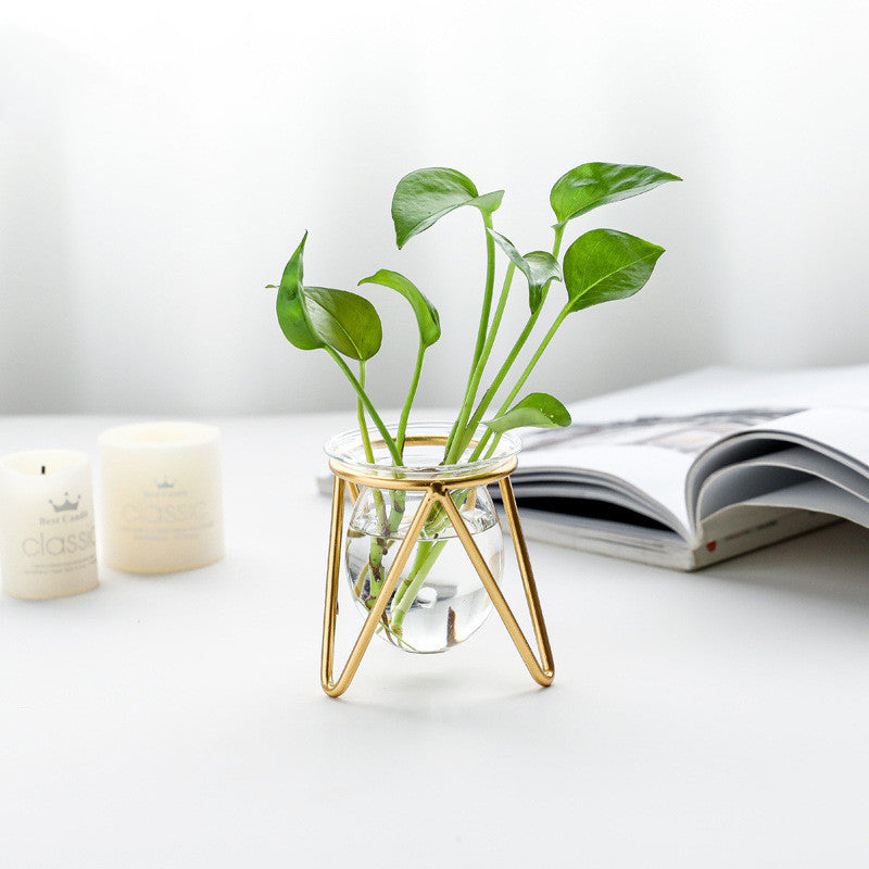 Hydroponic Vase