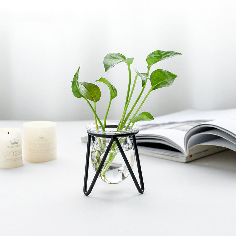 Hydroponic Vase